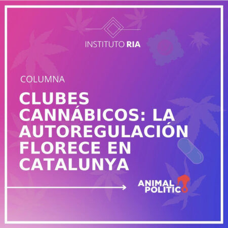 Clubes cannábicos: la autoregulación florece en Catalunya