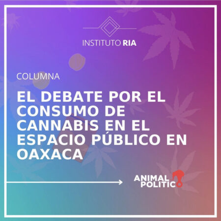 El debate por el consumo de cannabis en el espacio público en Oaxaca