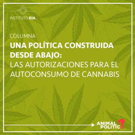 Una política construida desde abajo: las autorizaciones para autoconsumo de cannabis