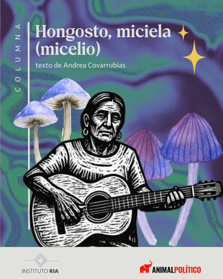 Hongosto, miciela (micelio)
